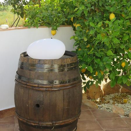 B&B Finca La Manchica Cartagena Dış mekan fotoğraf