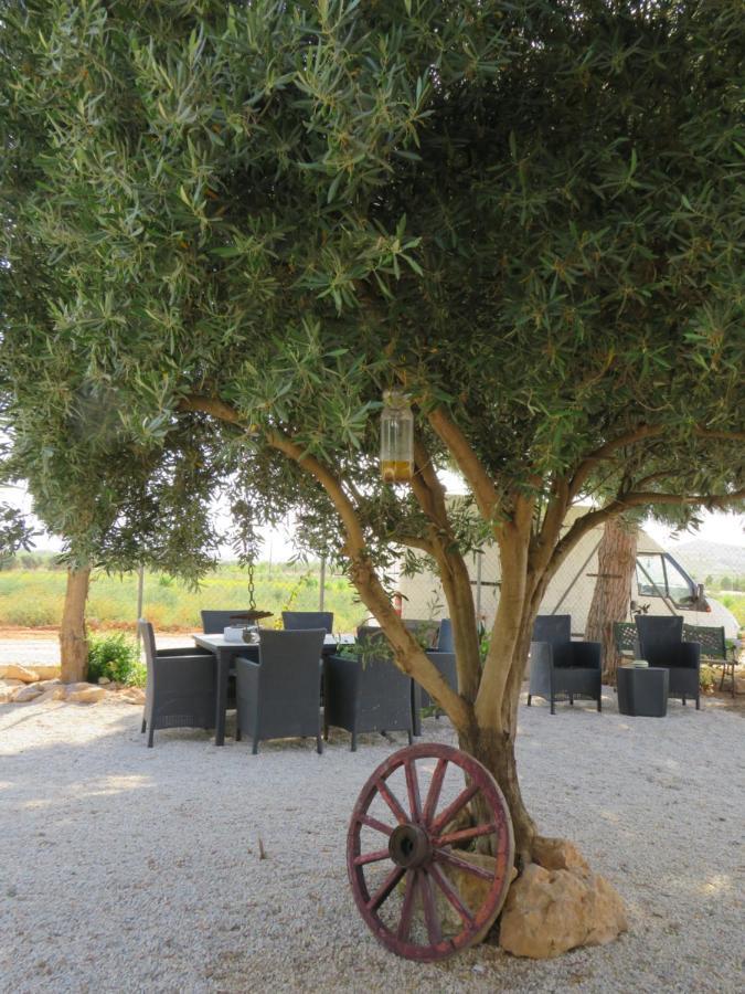 B&B Finca La Manchica Cartagena Dış mekan fotoğraf