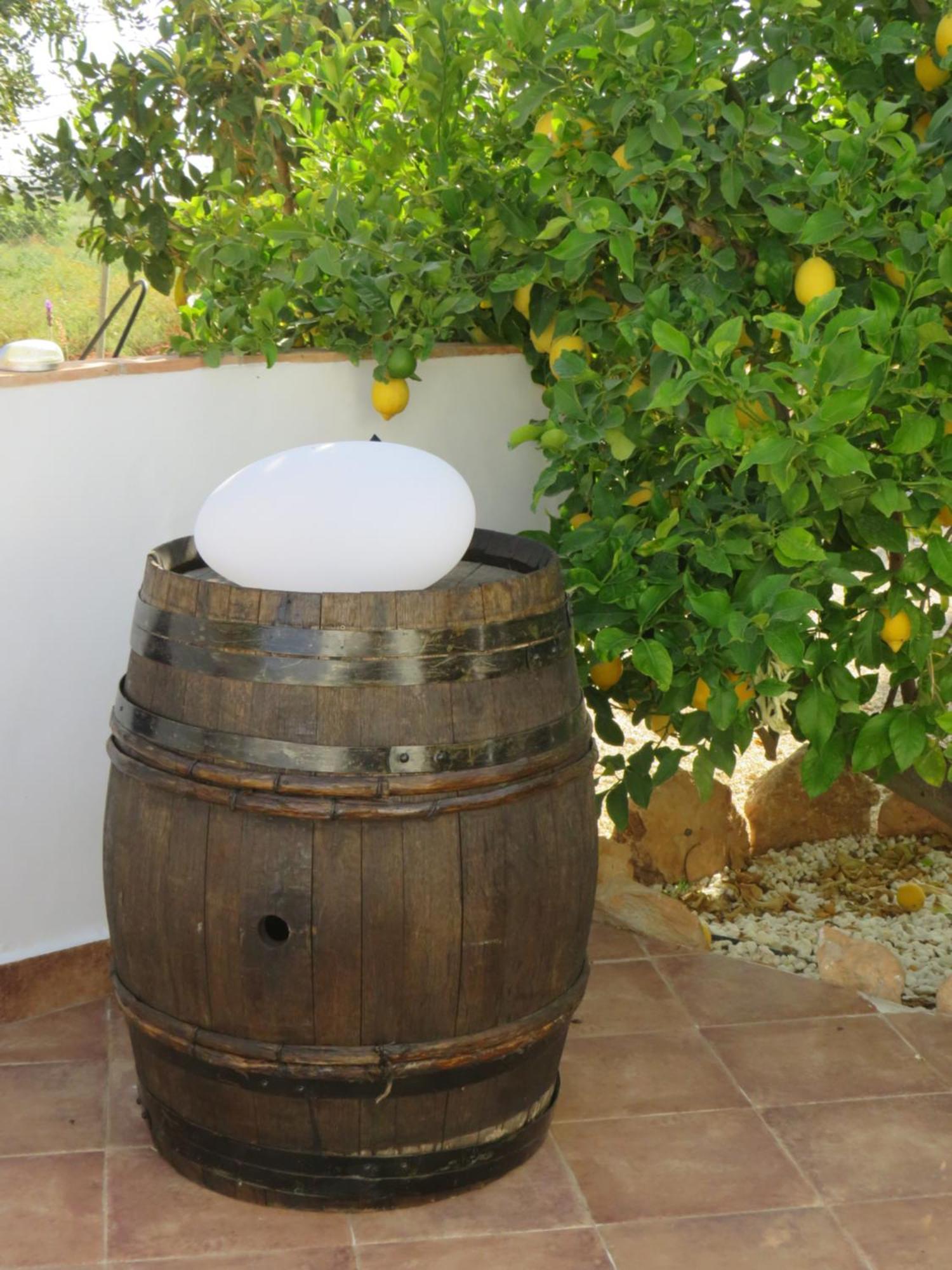 B&B Finca La Manchica Cartagena Dış mekan fotoğraf